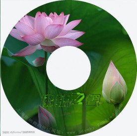 光盘设计模板