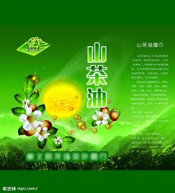 龙珠山茶油礼品盒