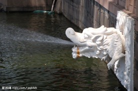 传统建筑水池中的喷水龙