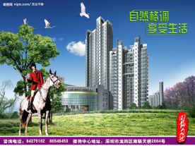 房地产广告模板