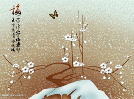 强化玻璃移门图 | 梅花　梅拼