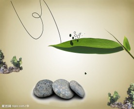 移门图片 石头  树叶