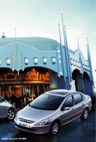 东风标志新307车图