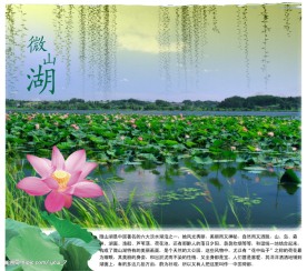 微山湖展板海报