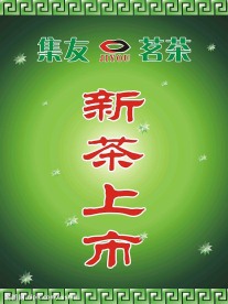 新茶上市