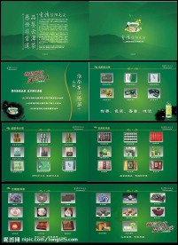 茶叶宣传画册