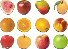 各种水果图标