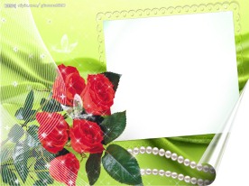 漂亮的婚礼相框