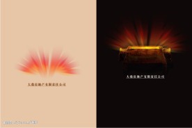 房地产公司画册设计