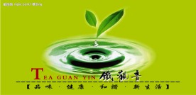 茶叶子水滴铁观音茶