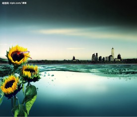 精选房地产广告素材