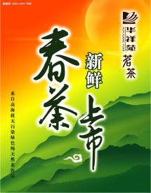 新茶上市