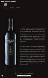 红酒画册第七页