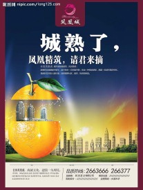凤凰城房地产海报设计稿
