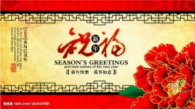 2009精美新年贺卡(明信片)