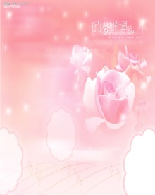 强化玻璃移门“粉红玫瑰”