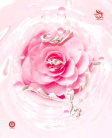 钻戒情人节 玫瑰花