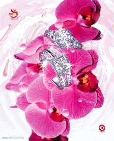 钻戒情人节 玫瑰花