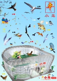 小鸟 鸟巢 小鸟电动车标志