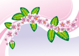 时尚花纹矢量图