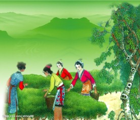 美女采茶图