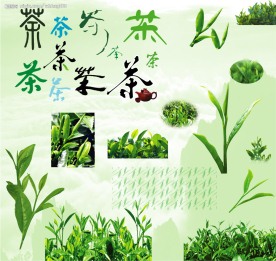 各种茶字和茶头