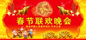 春节联欢晚会