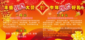 春节商场辅助设计