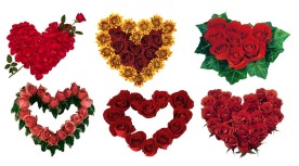 情人节玫瑰花心型