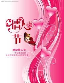 情人节爱心的花朵