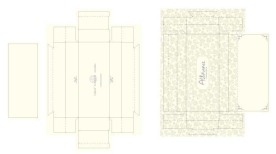 阿蒂朗斯化妆品包装盒