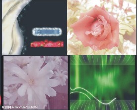 婚庆生日背景系列 视频素材