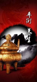 养生折页封面
