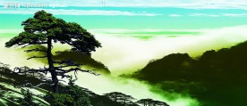 迎客松