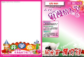 情人节元宵节DM海报模版