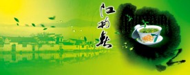 江南春茶