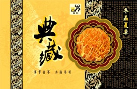 冬虫夏草精品包装含文化内涵策划文字