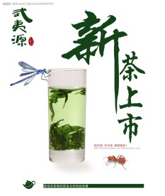 武夷源 新茶上市