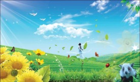 清新自然茶园风光