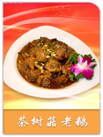 茶树菇老鹅