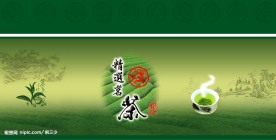 小标精选茗茶