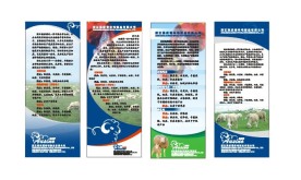 易拉宝 企业简介海报  模版