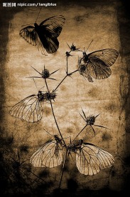 颓废背景图片素材