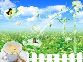 悠悠花草茶茉莉花茶