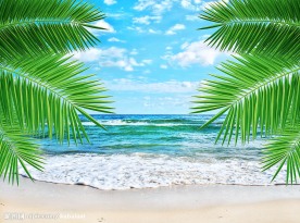 夏日海边沙滩风景