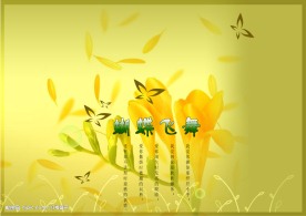 蝴蝶飞舞花朵盛开背景素材