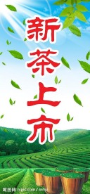新茶上市