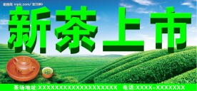 新茶上市