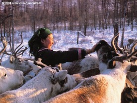 黑龙江鄂温克族