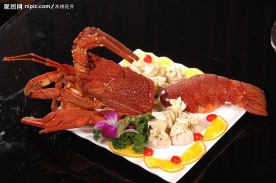 澳洲大龙虾